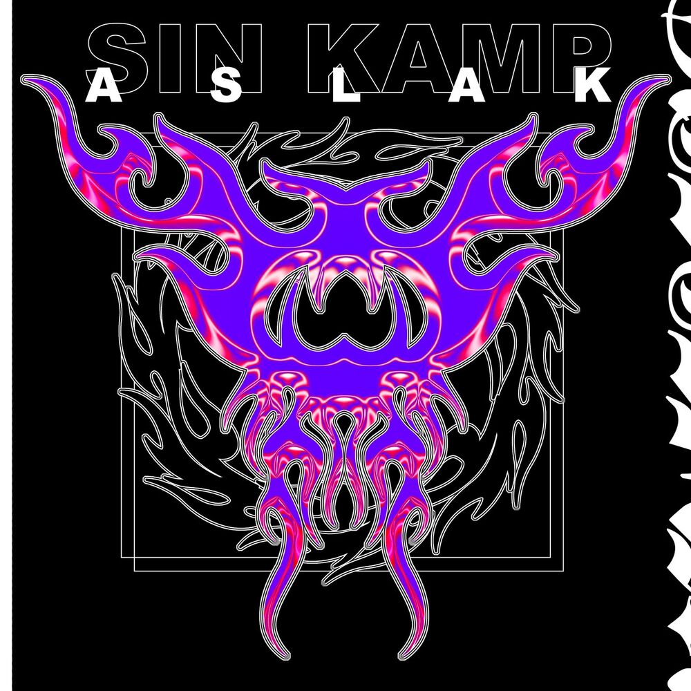 Picture of Sin kamp
