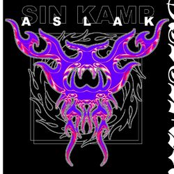 Cover of Sin kamp