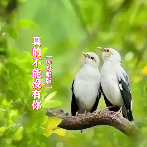 真的不能没有你 (DJ对唱版)