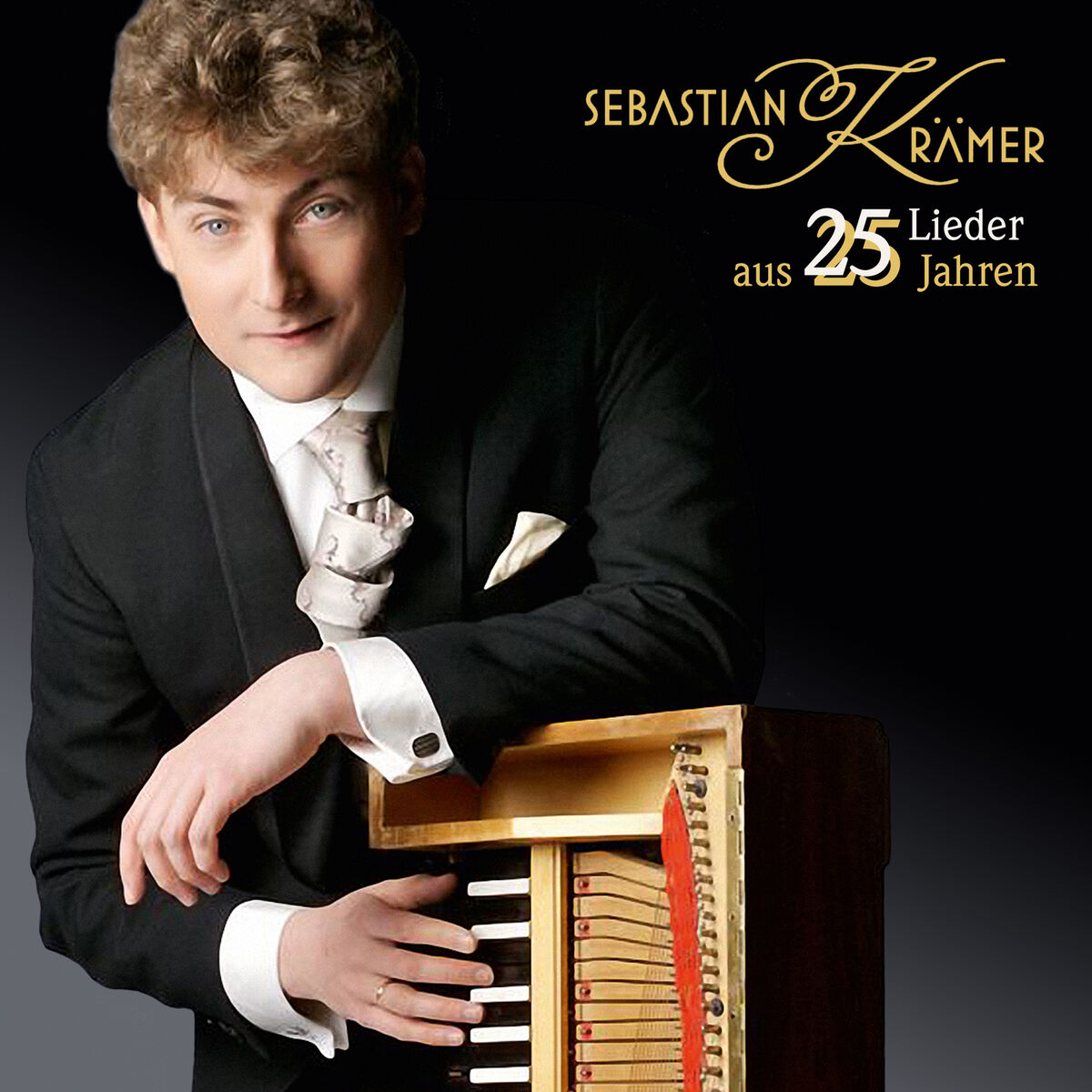 Album cover of 25 Lieder aus 25 Jahren