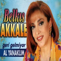 Cover of Geri Gelmiyor