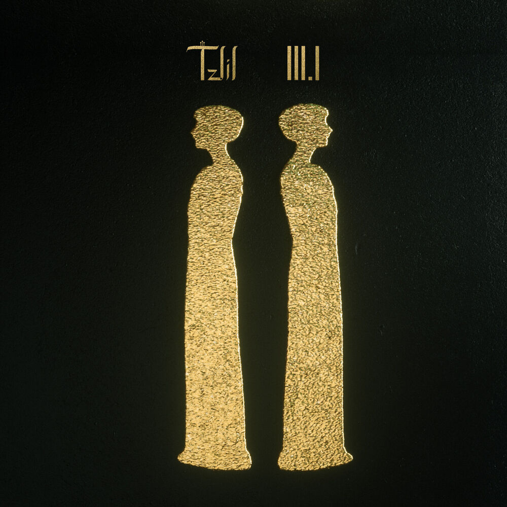 Picture of Tzlil 3.1