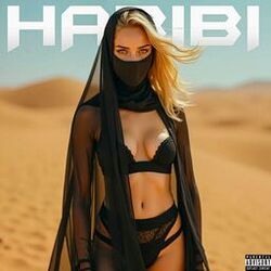Cover of Habibi