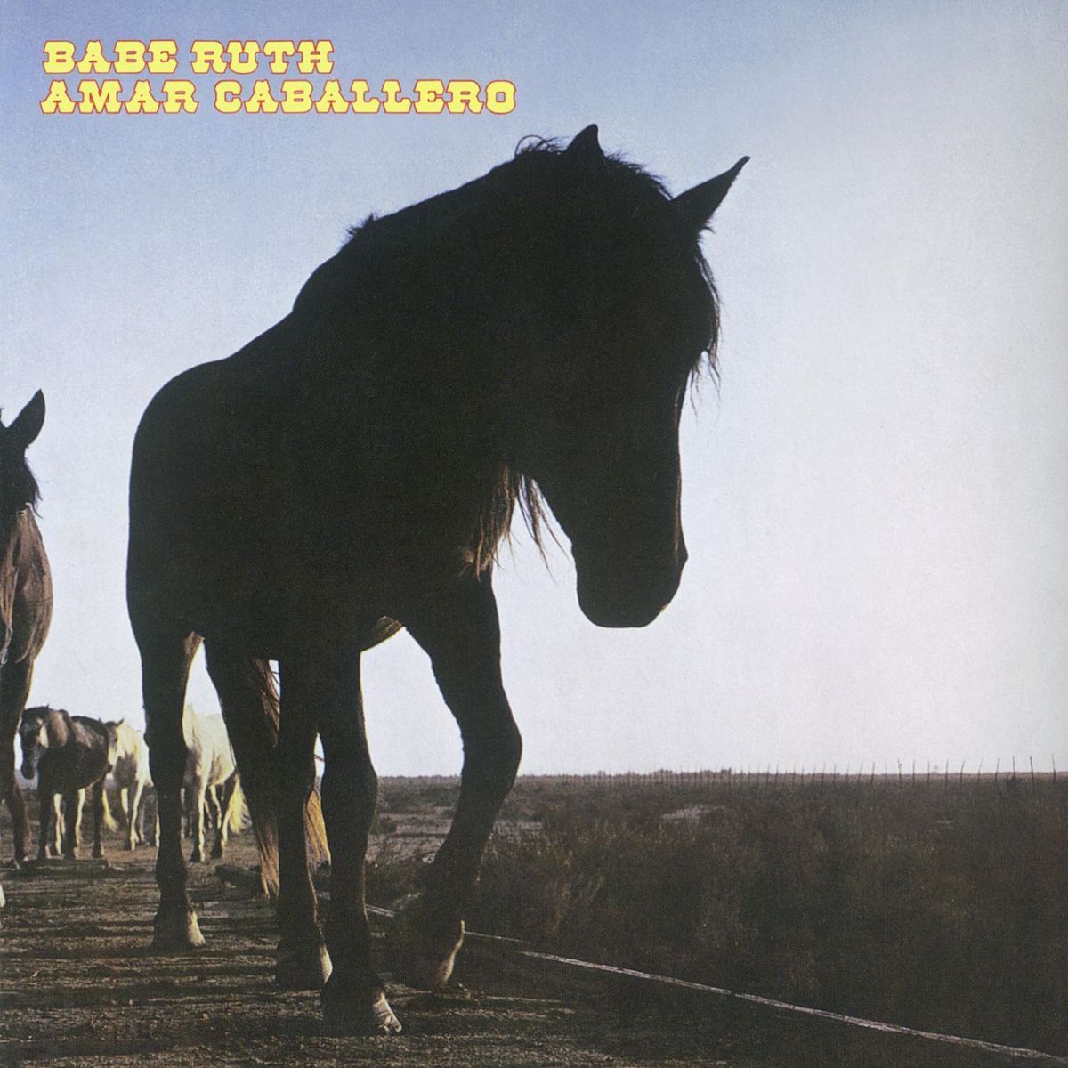 Album cover of Amar Caballero