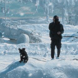 Cover of blizzard