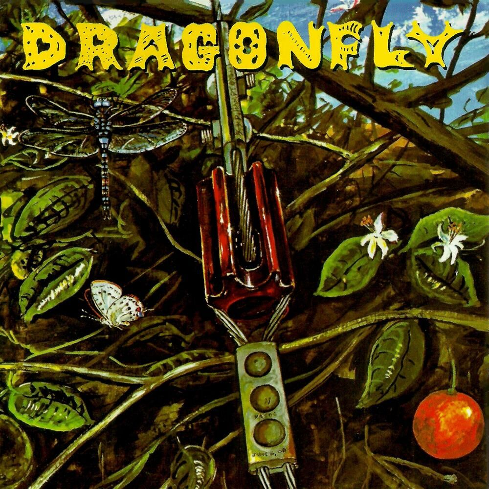 Picture of Dragonfly