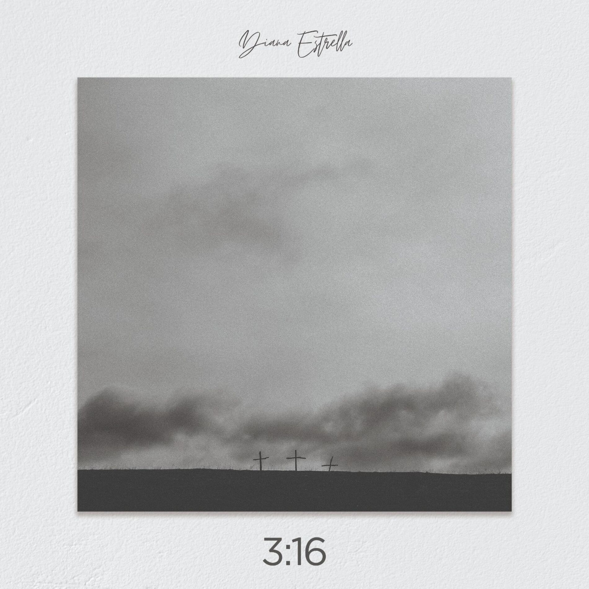 Album cover of 316