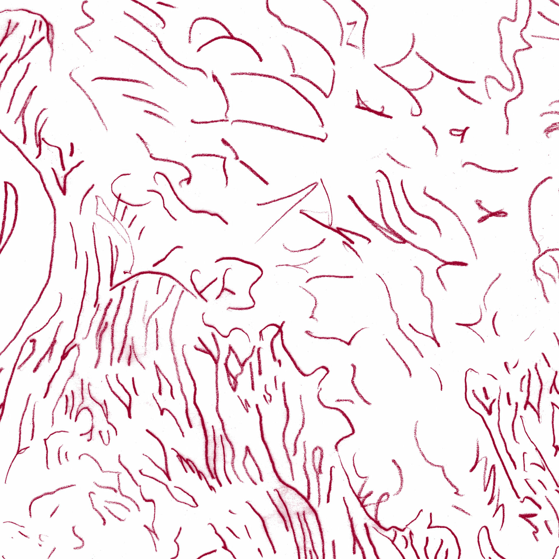 Album cover of Bishara