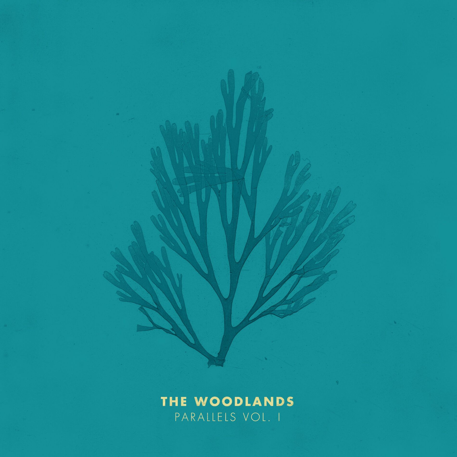 Album cover of Parallels, Vol. I