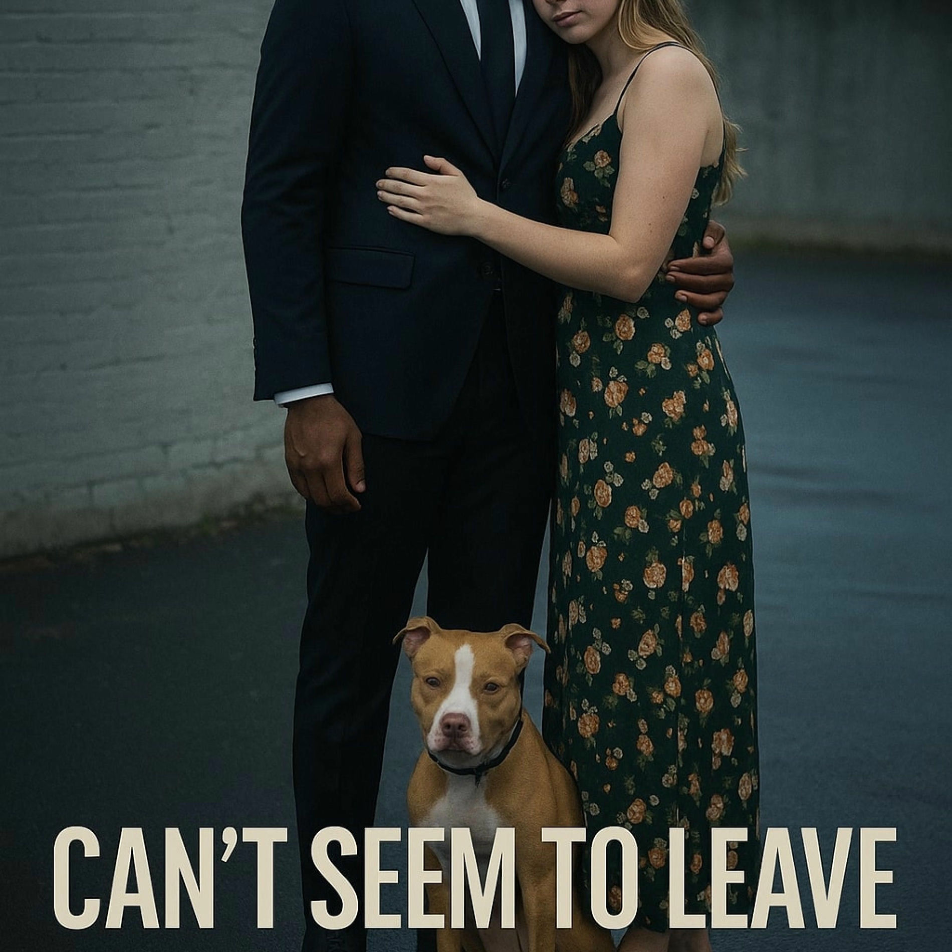 Album cover of Can’t Seem to Leave (feat. Eli Fross)