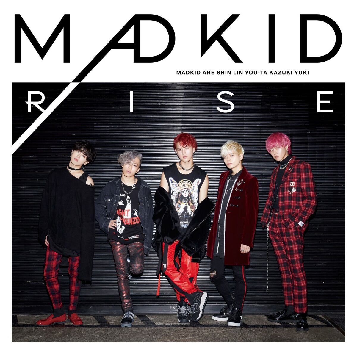 Album cover of Rise