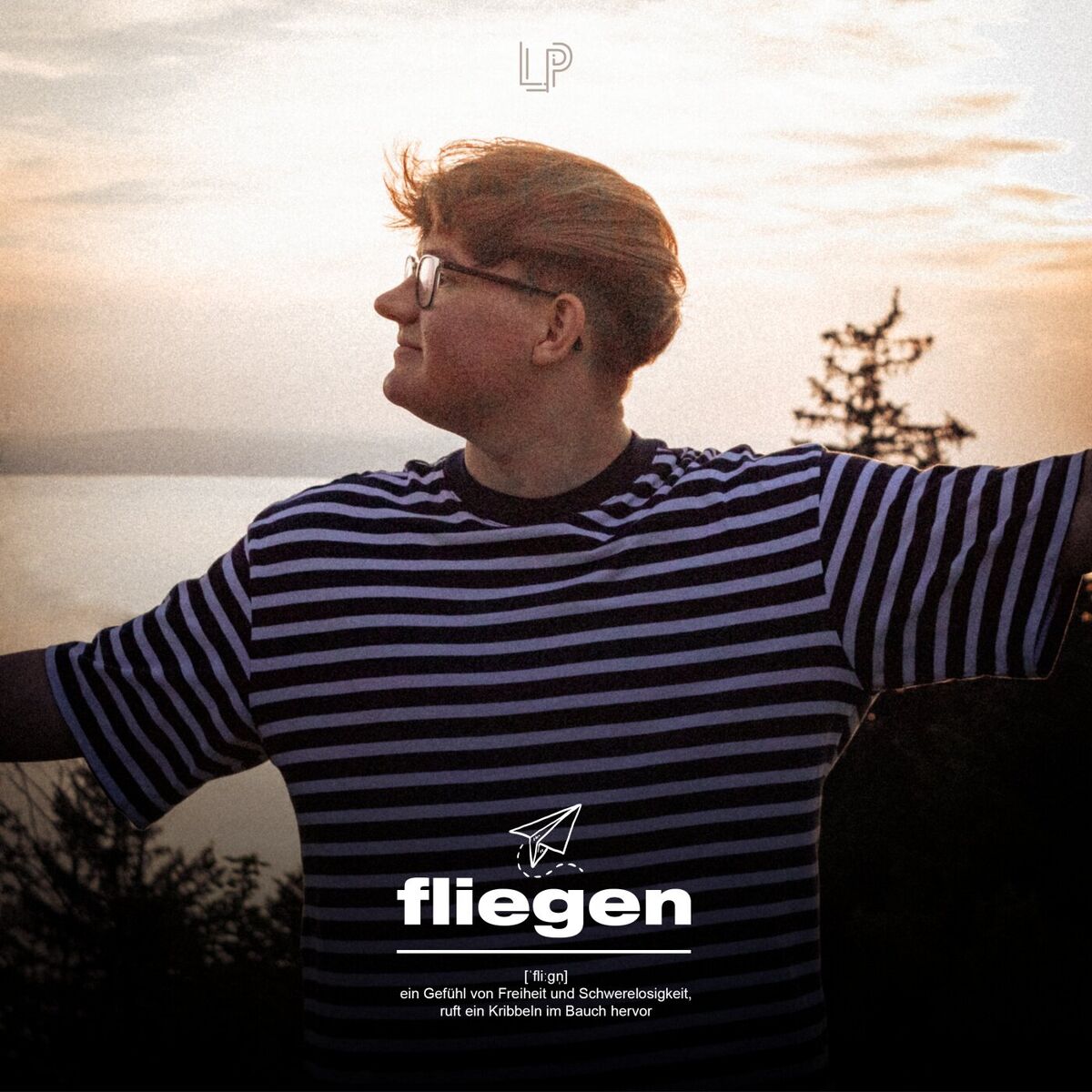 Album cover of Fliegen