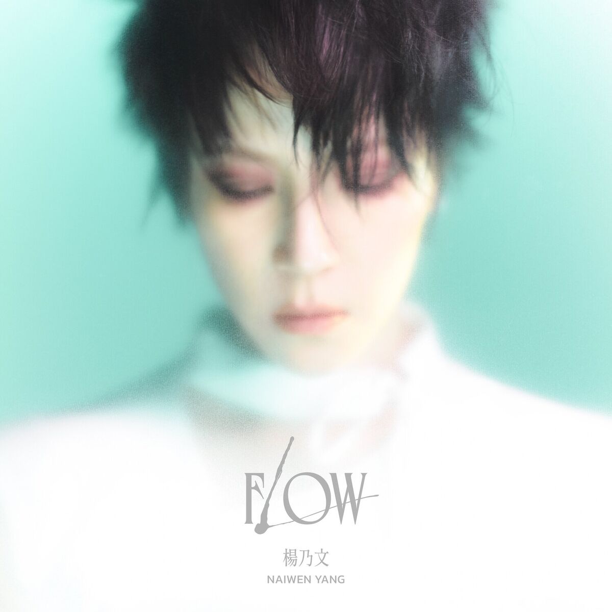 Album cover of Flow