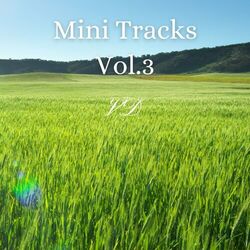 Cover of Mini Tracks, Vol. 3