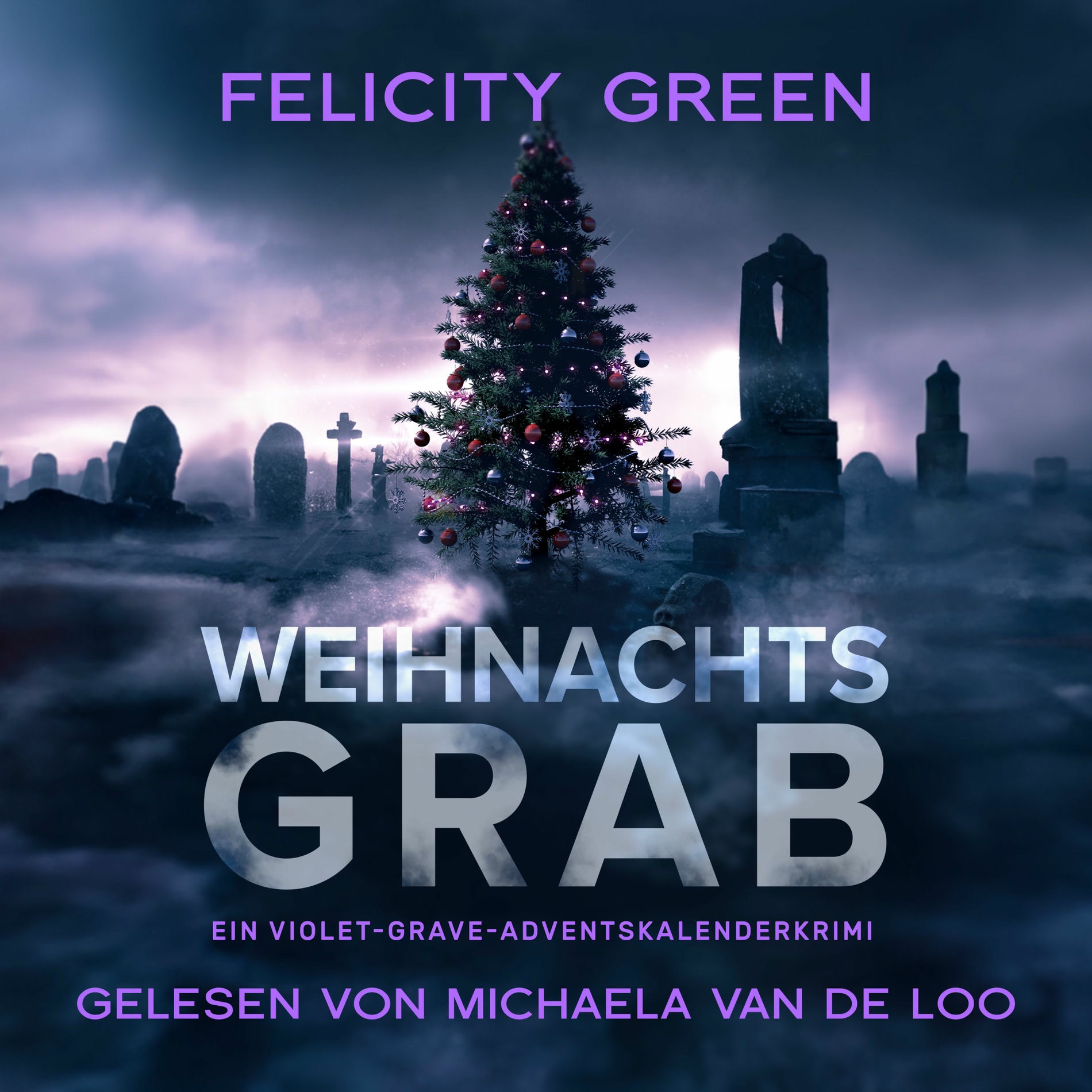 Album cover of Kapitel 01 - Weihnachtsgrab