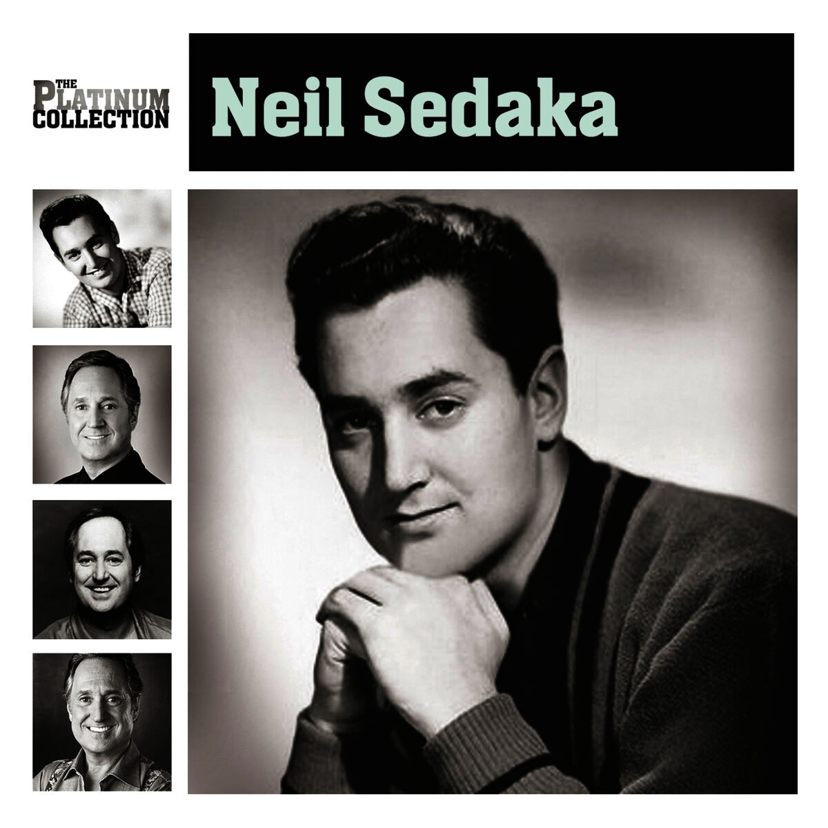 Album cover of The Platinum Collection