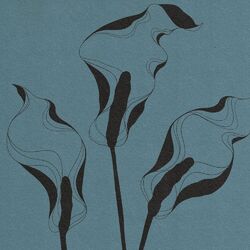 Cover of come clean