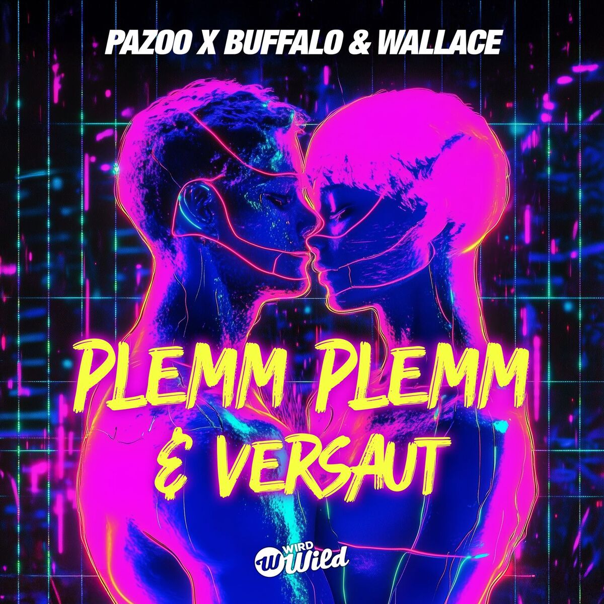Album cover of Plemm Plemm & Versaut
