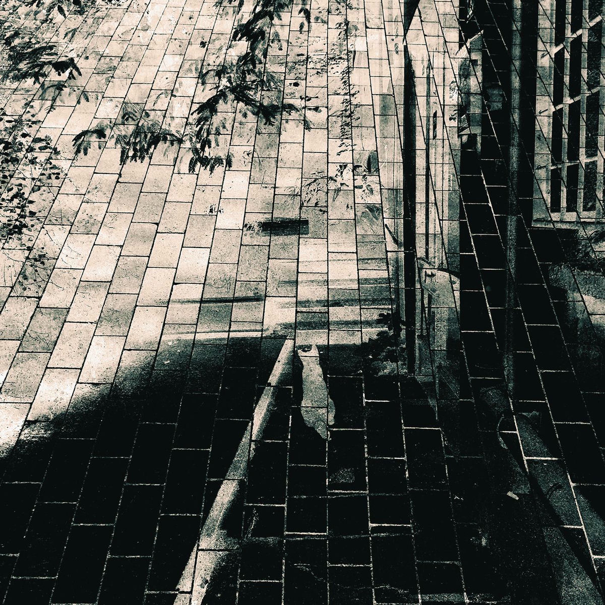 Album cover of Yerlerde