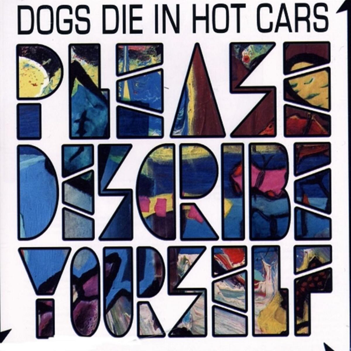 Album cover of Please Describe Yourself
