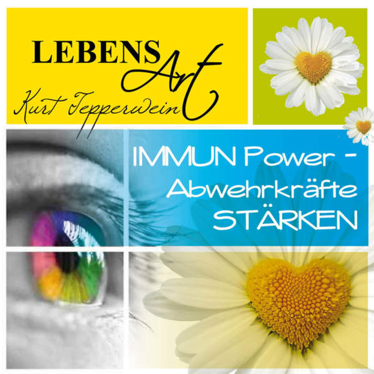 Album cover of Lebensart: Immun-Power-Abwehrkräfte stärken