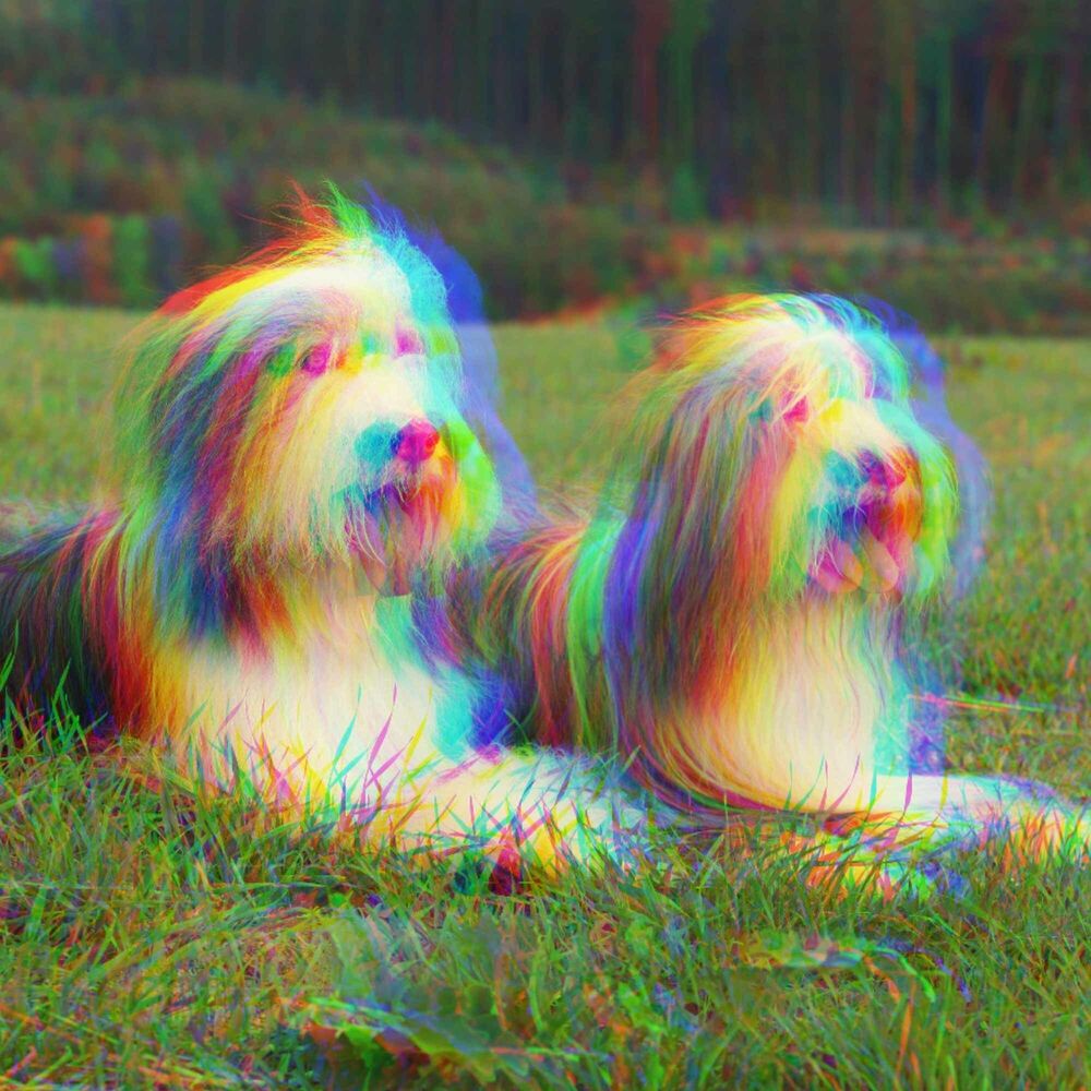 Picture of Music for Roaring Pups - Exquisite Jazz Quintet