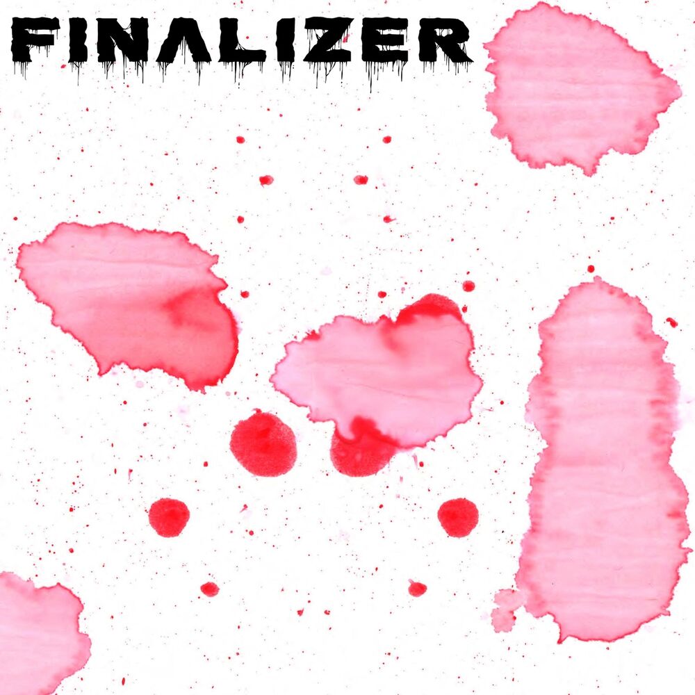 Picture of Finalizer