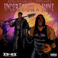 Undertaker X Kane