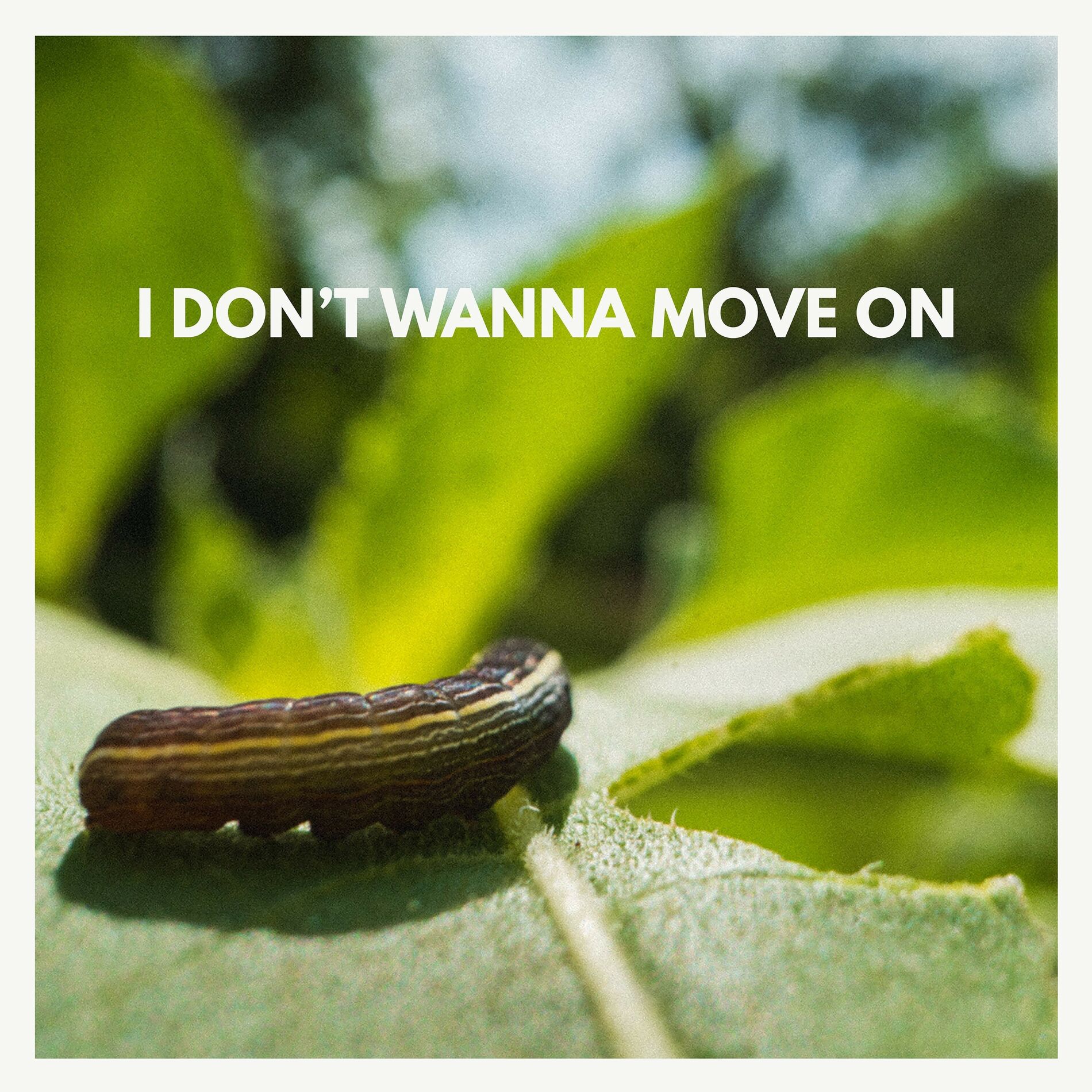Album cover of I Don't Wanna Move On