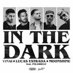 Cover of In The Dark (feat. Polarwulf)