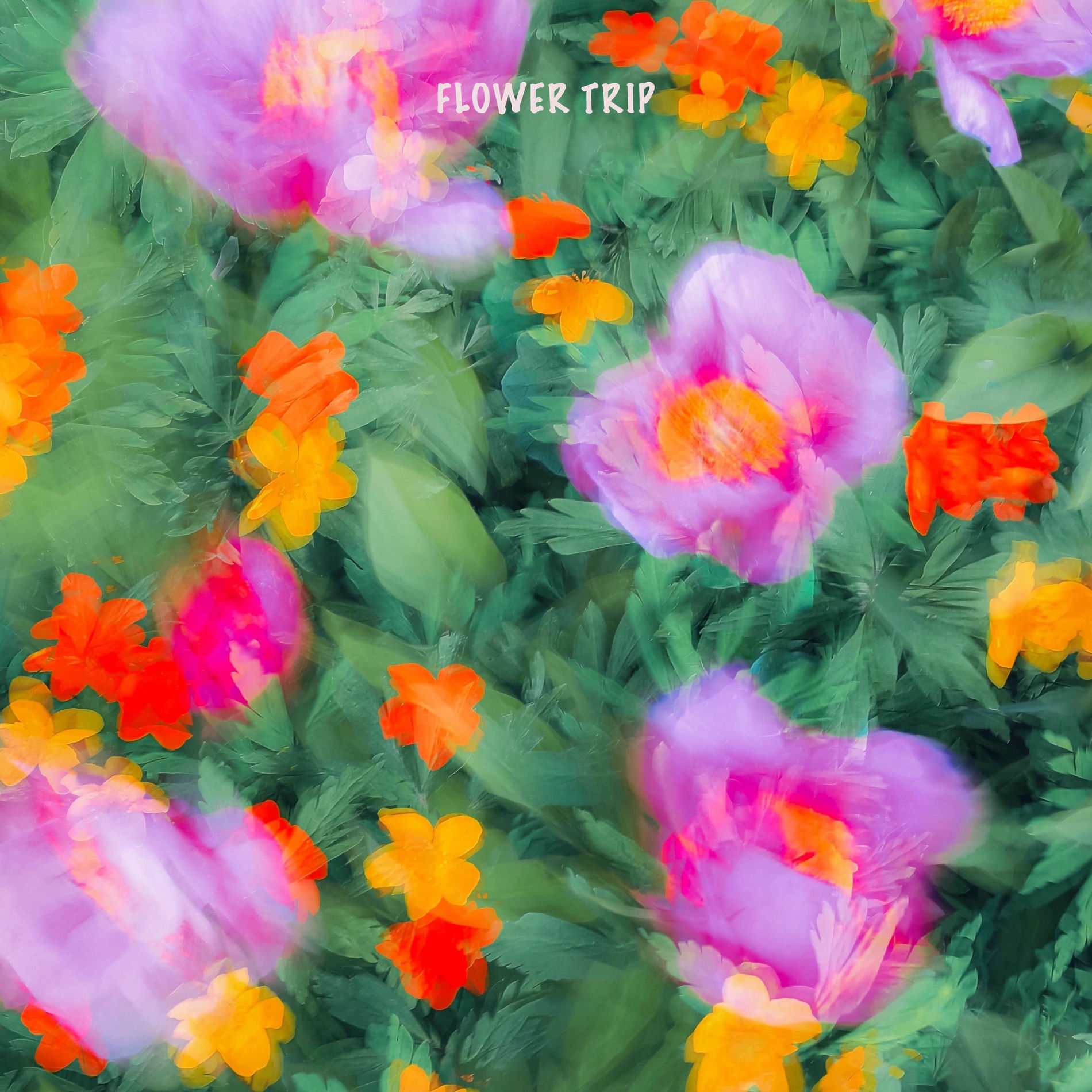 Album cover of flower trip
