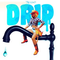 Cover of Drip
