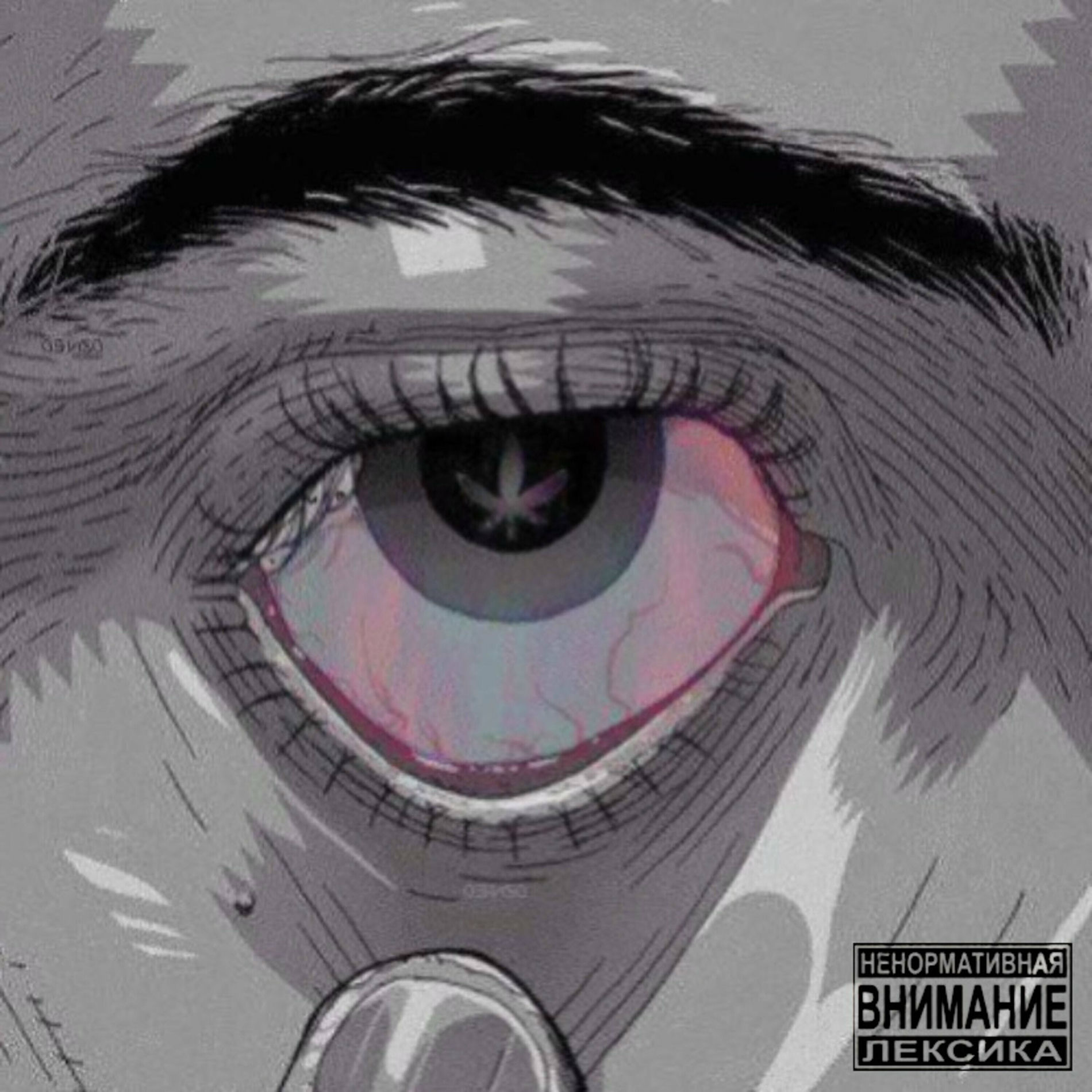 Вагинальды помпаның фотосы