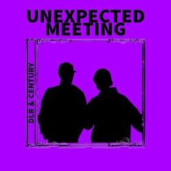 Cover of Unexpected Meeting
