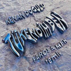 Cover of Tükendim Ben