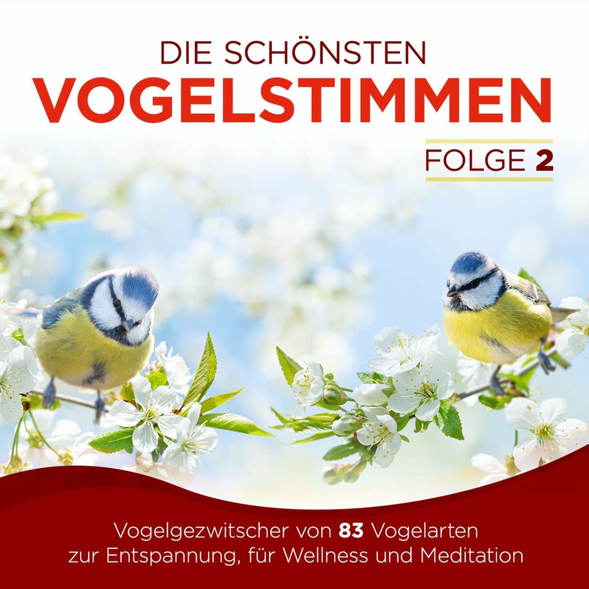 Album cover of Die schönsten Vogelstimmen - Vogelgezwitscher von 83 Vogelarten zur Entspannung, für Wellness und Meditation - Der Klang aus der N