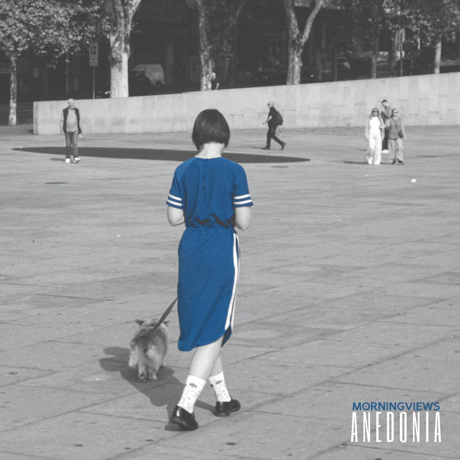 Album cover of Anedonia