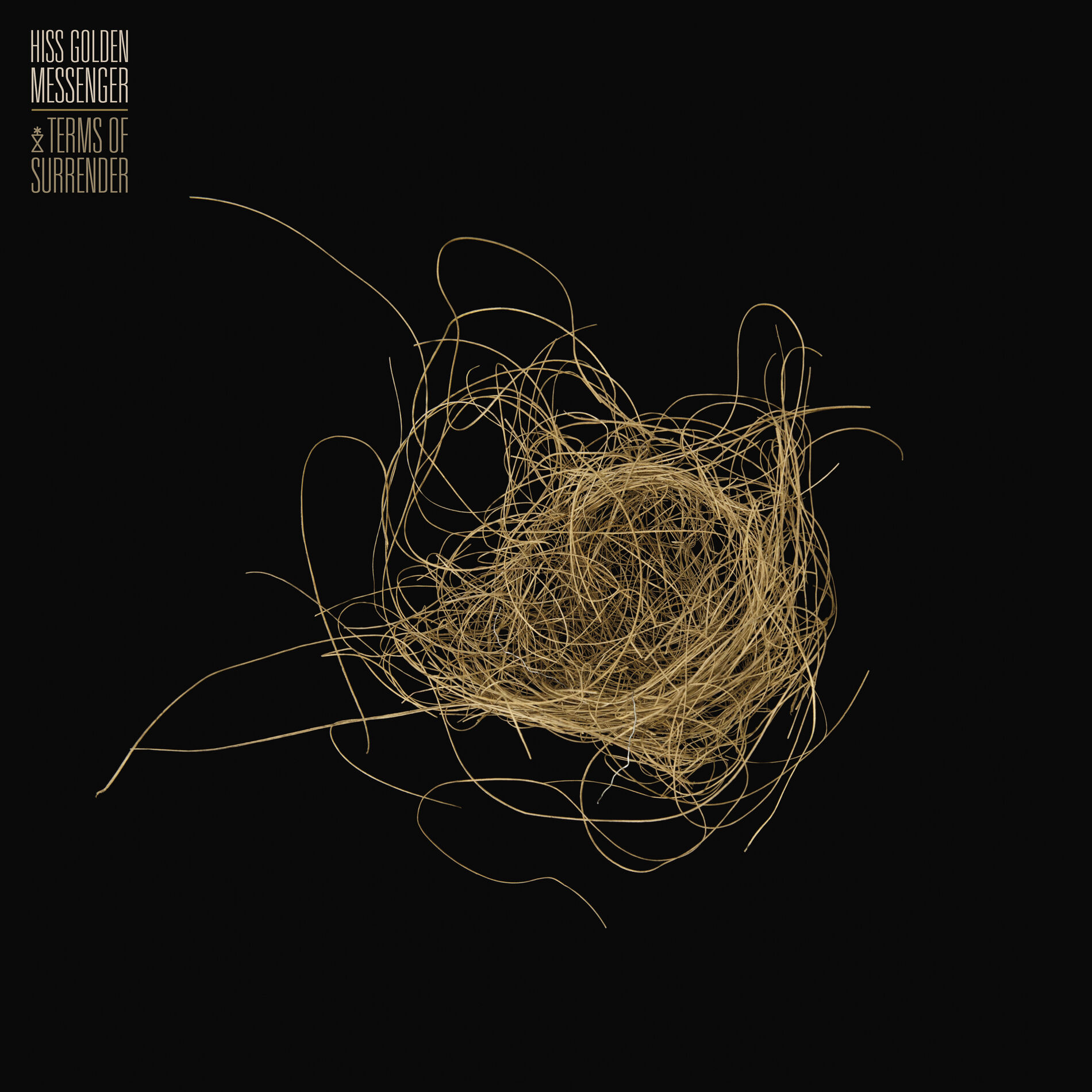 Album cover of Terms of Surrender