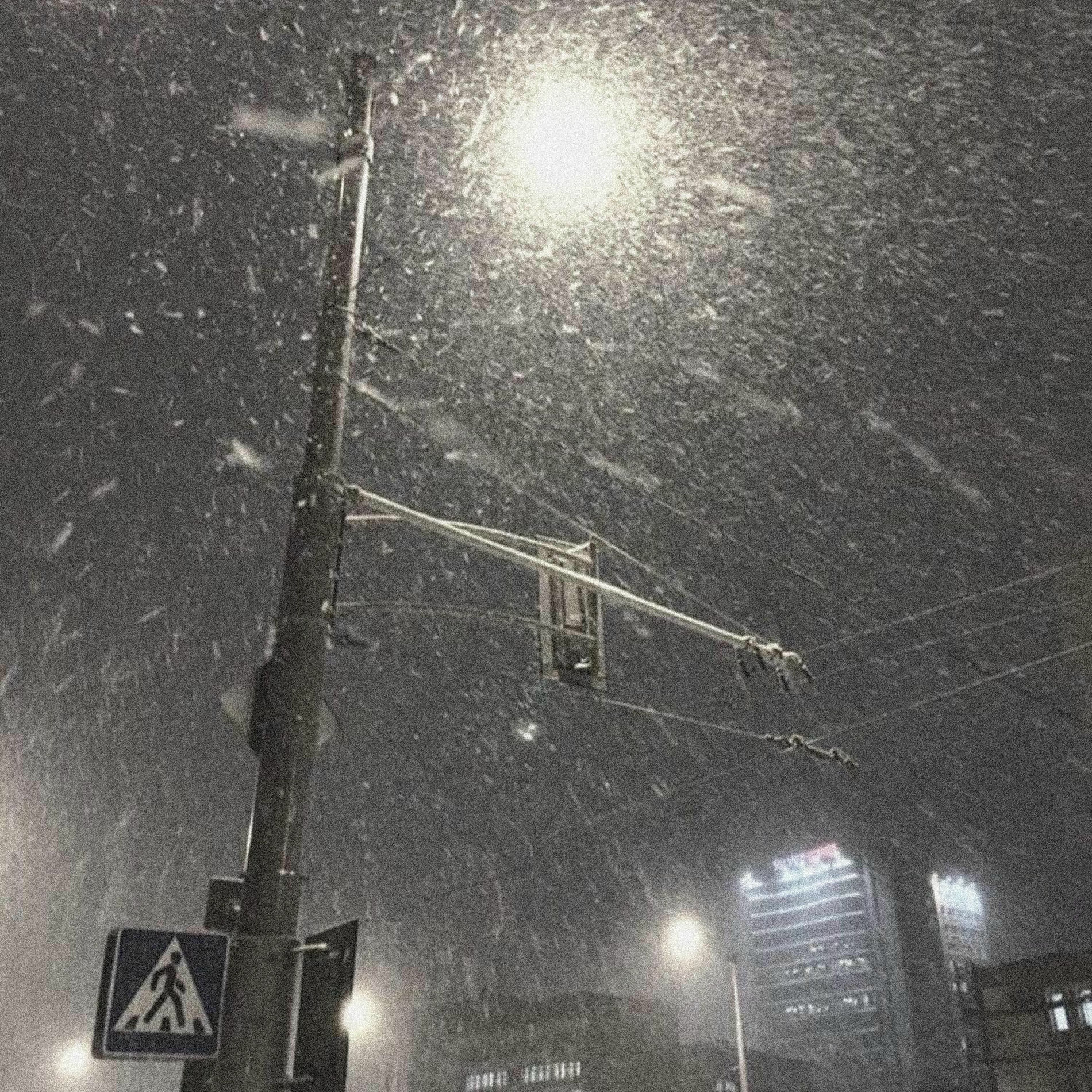 Album cover of the snow