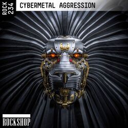 Cover of Cybermetal Aggression
