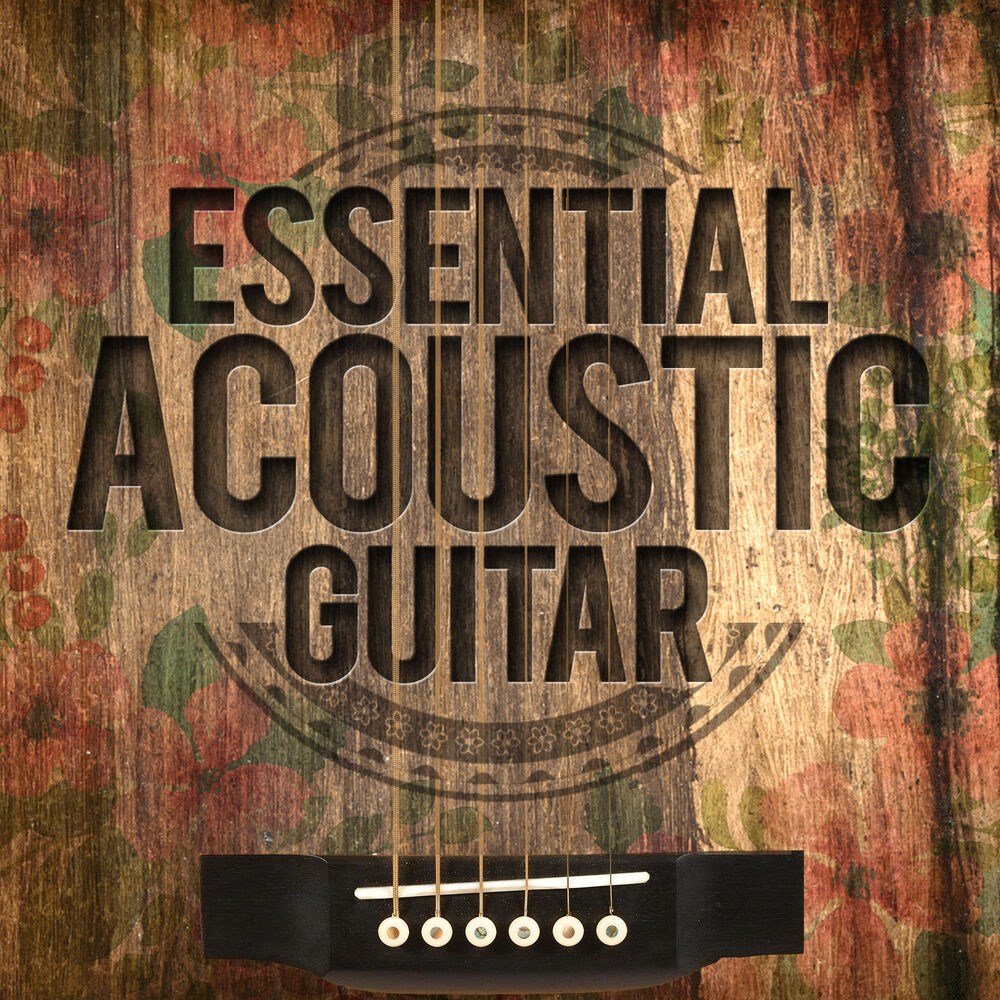 Picture of Essential Acoustic Guitar