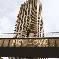 Cover of No Love