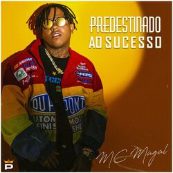 Cover of Predestinado ao Sucesso