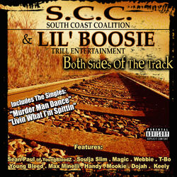 Cover of Both Sides of the Track