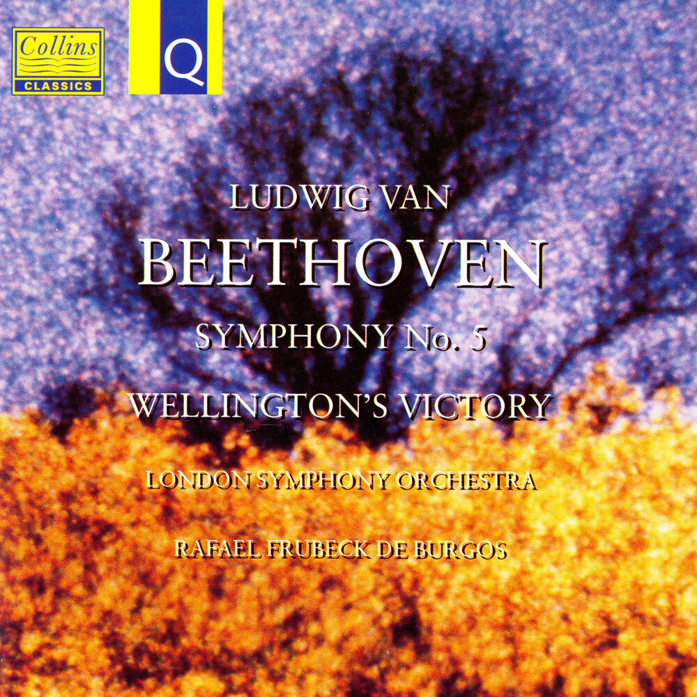 Picture of Beethoven: Symphony No.5 - Wellington's Victory, Battle Symphony