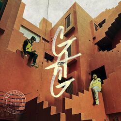 Cover of G.A.G