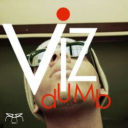 Cover of Vizdumb