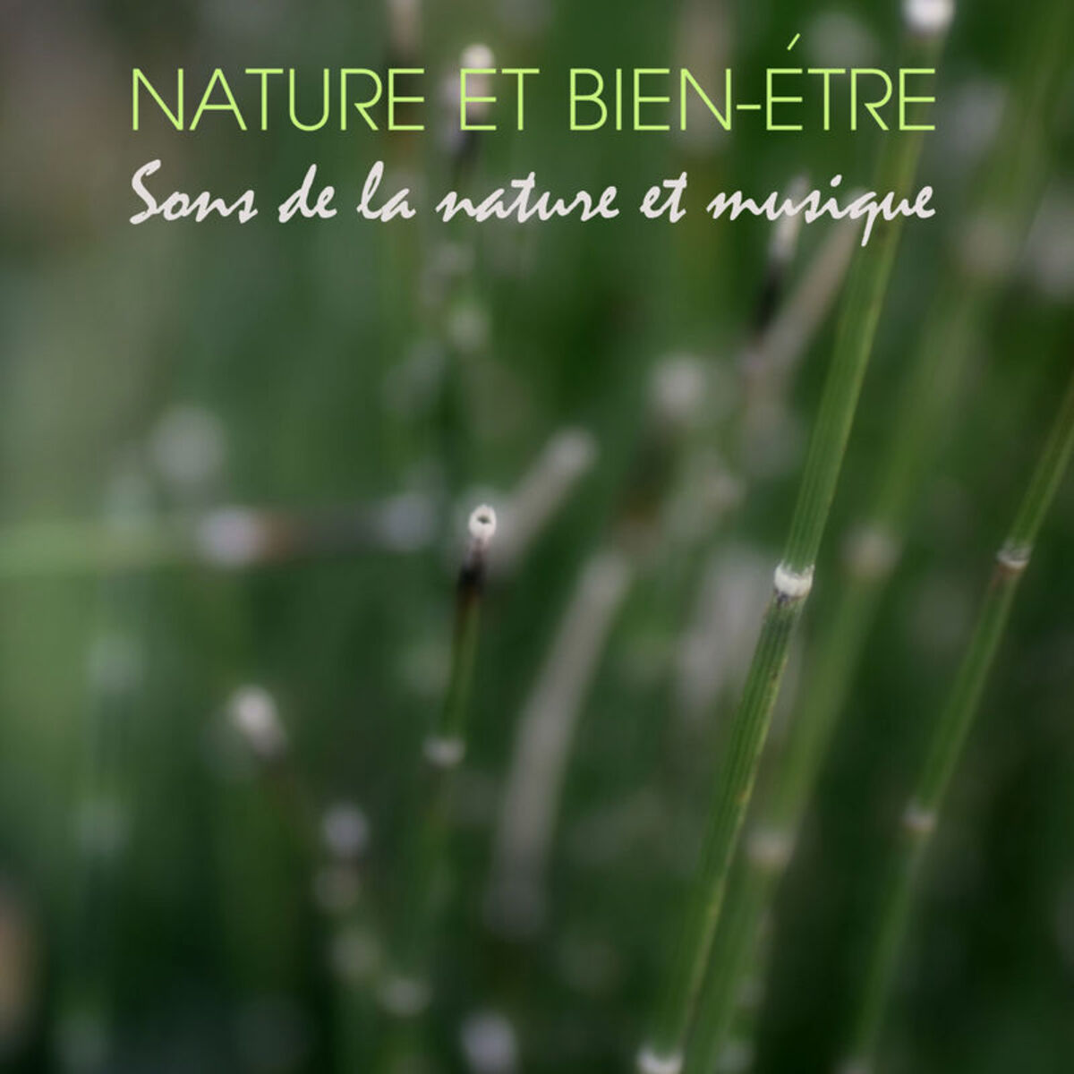 Album cover of Nature et Bien-être - Sons de la Nature et Musique