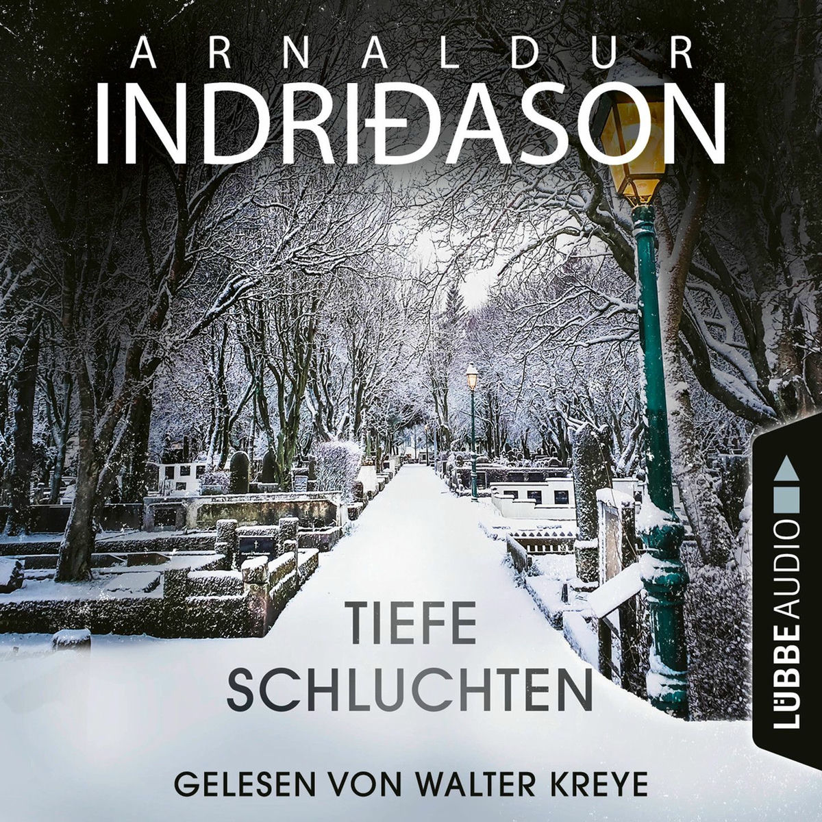 Album cover of Kapitel 1 - Tiefe Schluchten