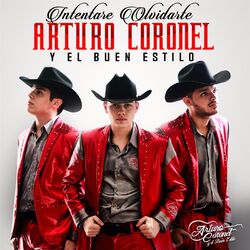 Cover of Intentare Olvidarte